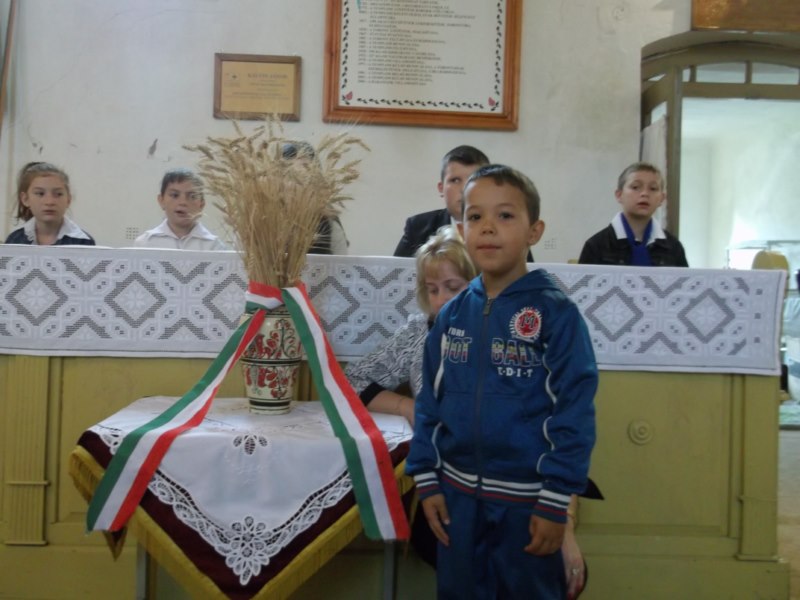 14024 DSCF5377 800x600