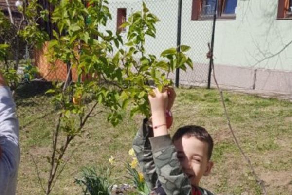 84DA65F19-B6B8-5363-3608-9679C13366FB.jpg