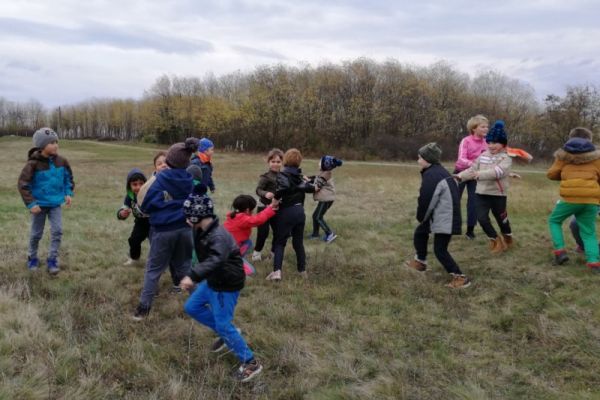img-20191118-2135356CCCA709-75FF-5366-60D4-95D7E3CC8D0B.jpg