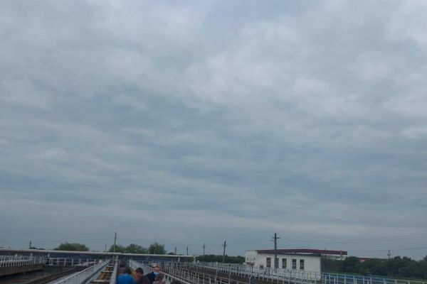 20230426-10012255DC23DC-171B-B9E4-4DD0-96F5C0FE2E05.jpg
