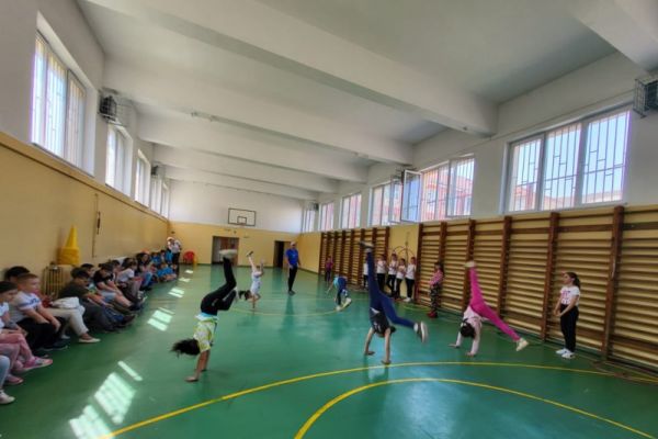 20F1C8D20-DB1F-15B9-0218-AC088715C7C8.jpg