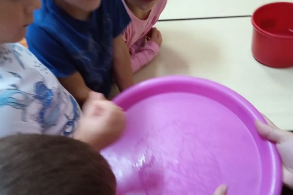 whatsapp-image-2024-09-11-at-14-57-59-26A18DD91-751E-7CC7-A4B5-1EEF60BD787A.jpg