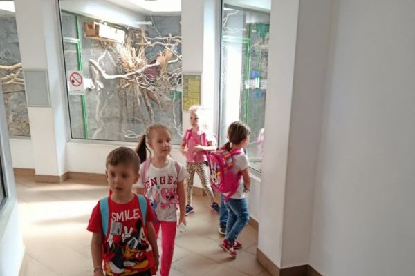 whatsapp-image-2026-09-09-at-13-42-03-2A054660F-5B6F-0448-3401-4BC737D88053.jpg