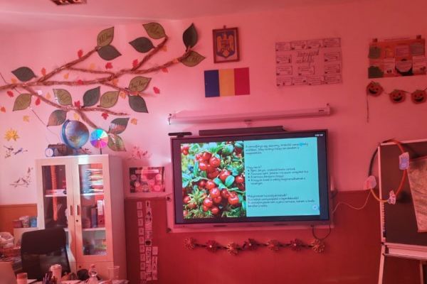 whatsapp-image-2026-09-10-at-12-33-55-1E08D0F95-44D0-B0E4-BC98-E9966A8086A4.jpg